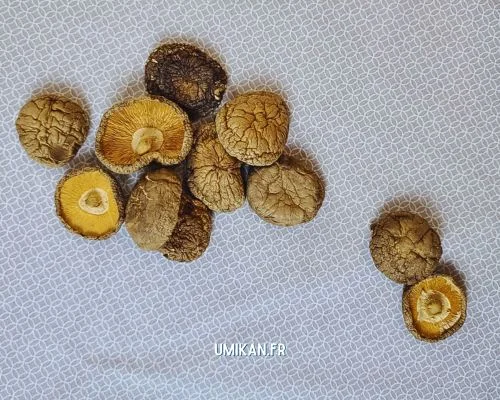 umami champignons